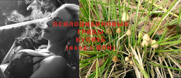 дурь Нефтегорск