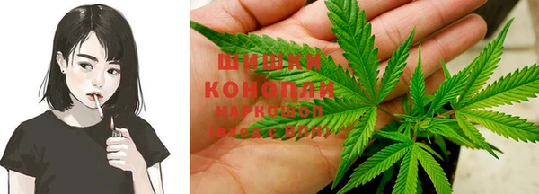 стаф Нефтекумск