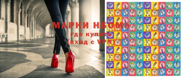 стаф Нефтекумск