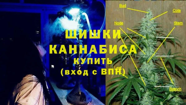 стаф Нефтекумск