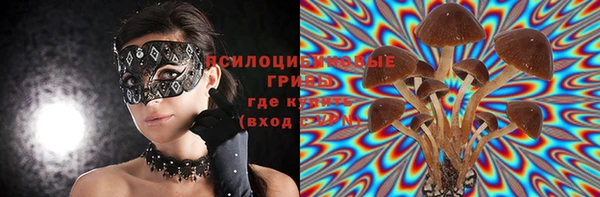 дурь Нефтегорск