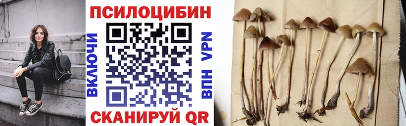 Псилоцибиновые грибы Psilocybine cubensis  как найти закладки  Орёл 